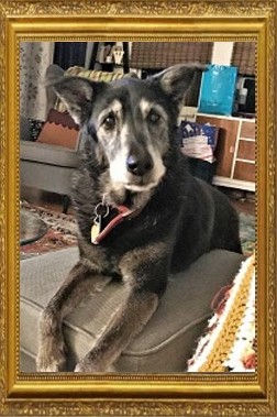 Princess Wolfe 2003-2018